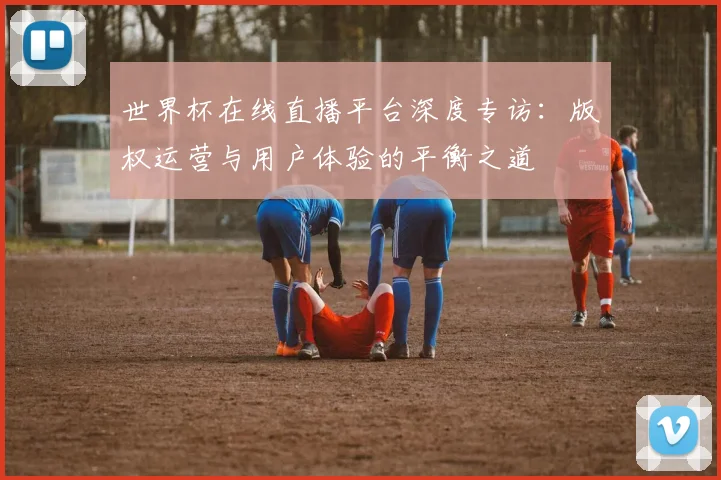 世界杯在线直播平台深度专访：版权运营与用户体验的平衡之道