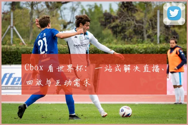 Cbox 看世界杯：一站式解决直播、回放与互动需求