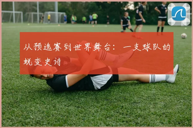 从预选赛到世界舞台：一支球队的蜕变史诗