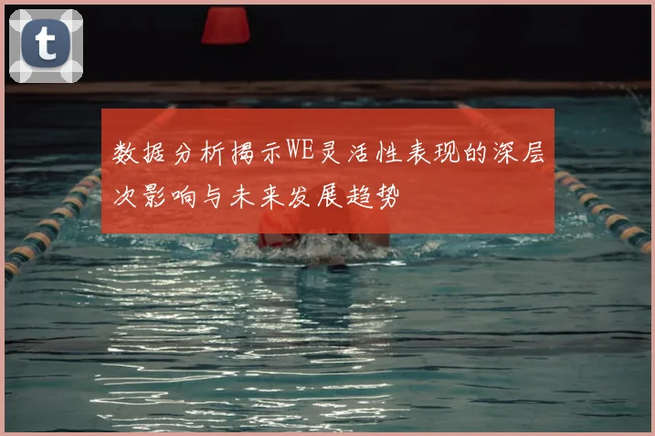 数据分析揭示WE灵活性表现的深层次影响与未来发展趋势