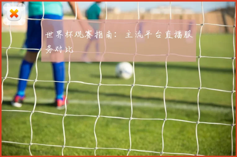 世界杯观赛指南：主流平台直播服务对比