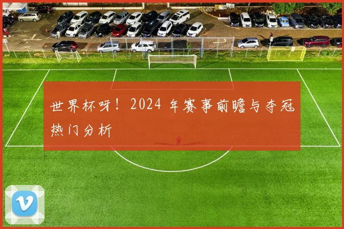 世界杯呀！2024 年赛事前瞻与夺冠热门分析