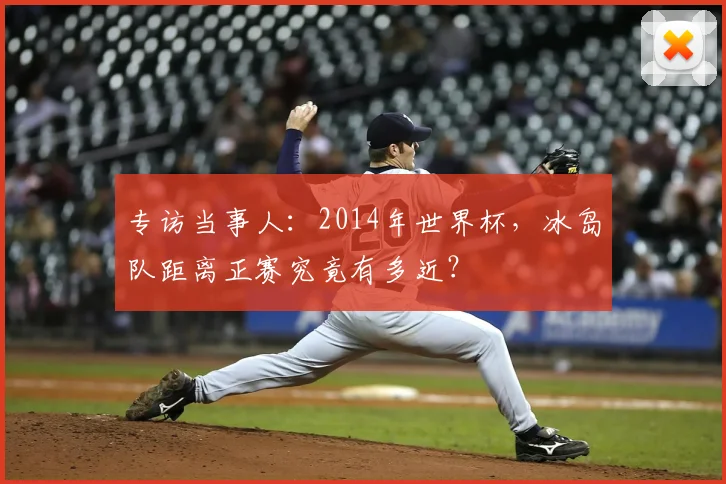 专访当事人:2014年世界杯,冰岛队距离正赛究竟有多近?