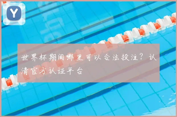 世界杯期间哪里可以合法投注?认清官方认证平台