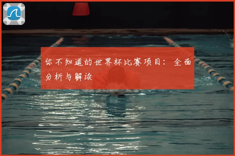 你不知道的世界杯比赛项目：全面分析与解读