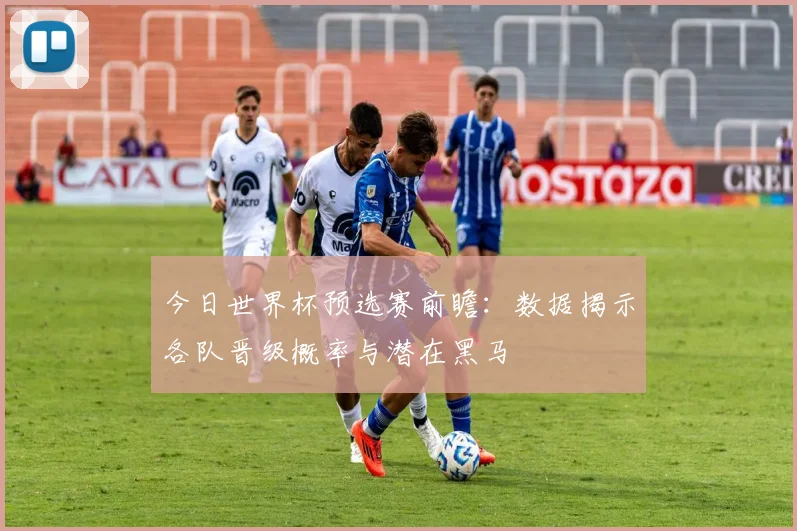 今日世界杯预选赛前瞻：数据揭示各队晋级概率与潜在黑马