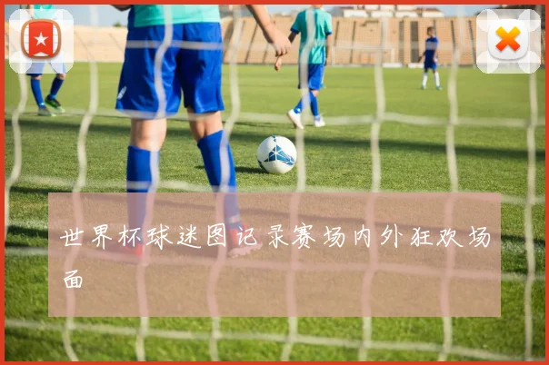 世界杯球迷图记录赛场内外狂欢场面