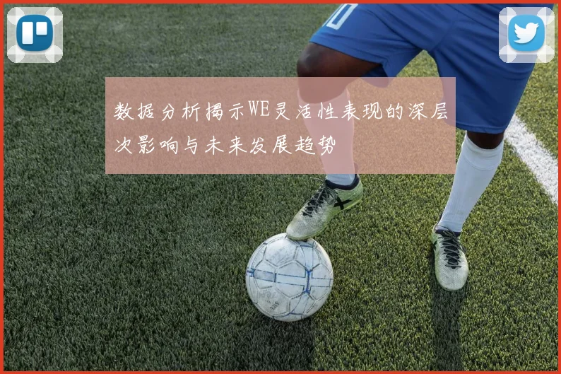 数据分析揭示WE灵活性表现的深层次影响与未来发展趋势