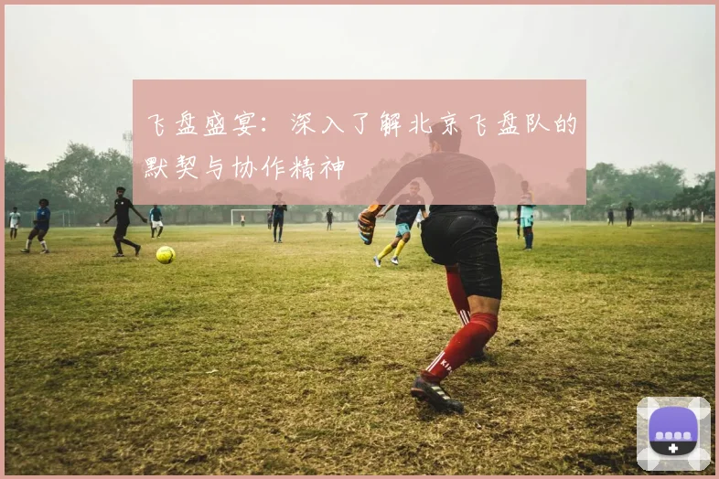 飞盘盛宴：深入了解北京飞盘队的默契与协作精神