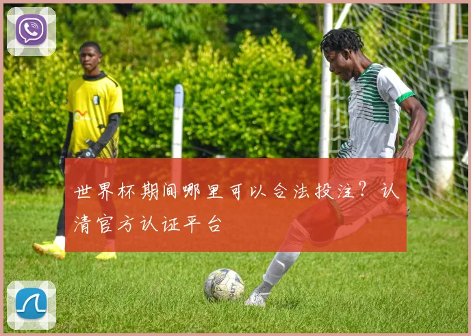 世界杯期间哪里可以合法投注?认清官方认证平台