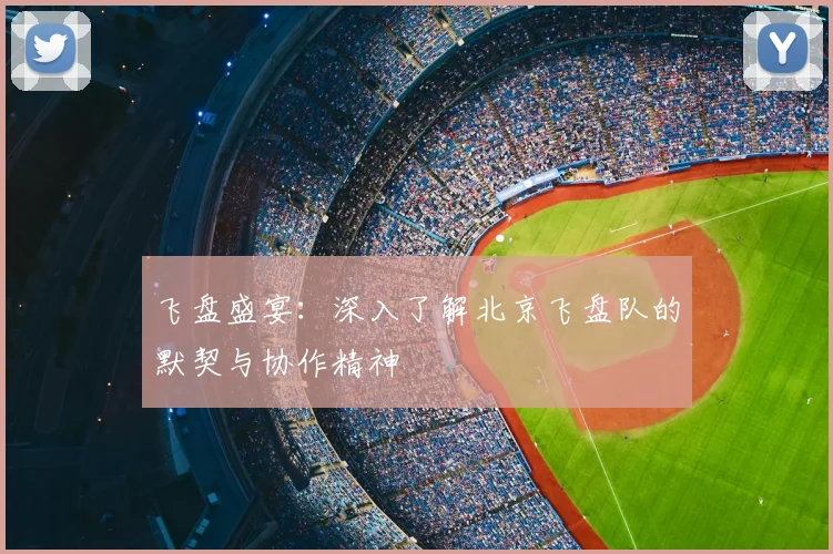 飞盘盛宴：深入了解北京飞盘队的默契与协作精神