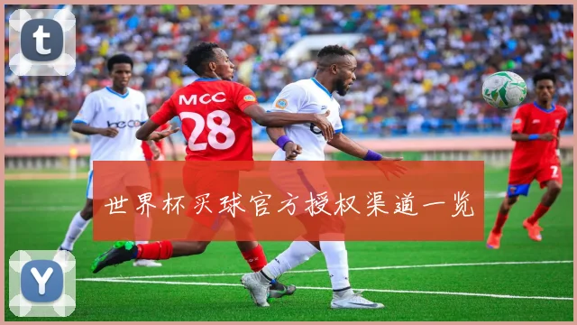 世界杯买球官方授权渠道一览