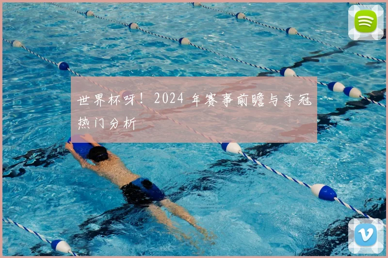 世界杯呀！2024 年赛事前瞻与夺冠热门分析