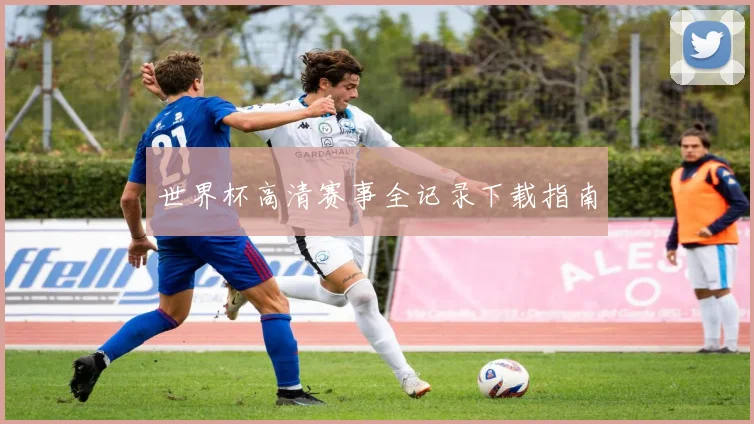 世界杯高清赛事全记录下载指南