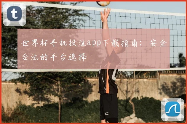 世界杯手机投注app下载指南：安全合法的平台选择