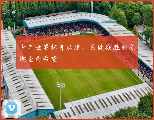 今年世界杯可以进！关键战胜利点燃全民希望