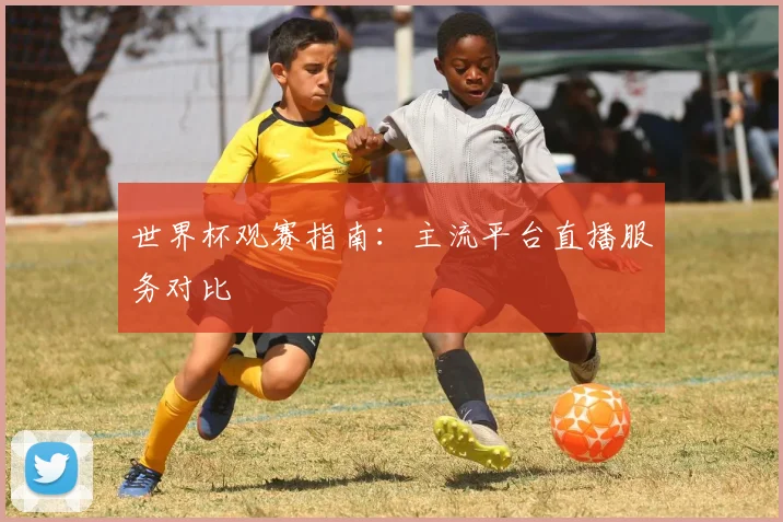 世界杯观赛指南:主流平台直播服务对比
