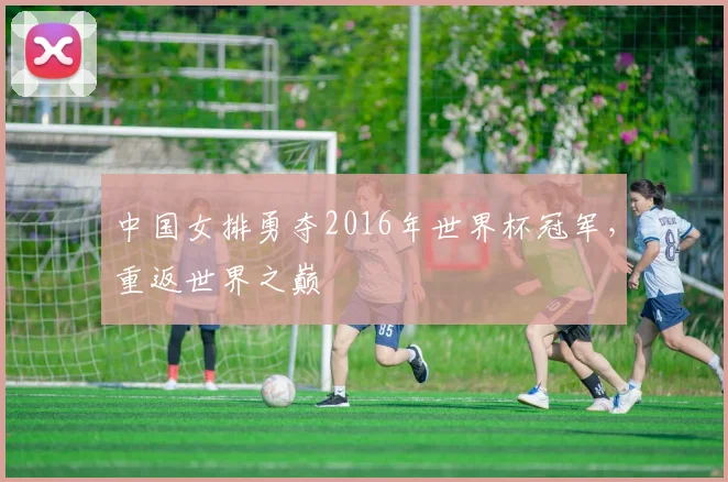 中国女排勇夺2016年世界杯冠军，重返世界之巅