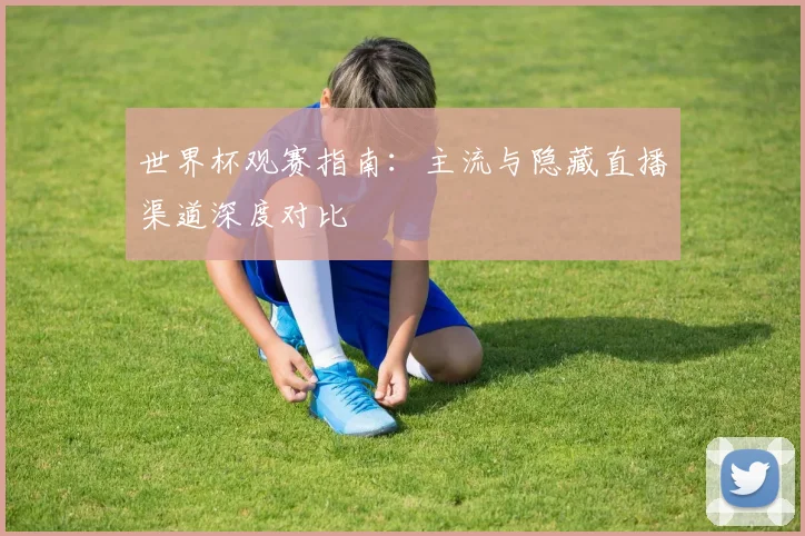 世界杯观赛指南：主流与隐藏直播渠道深度对比